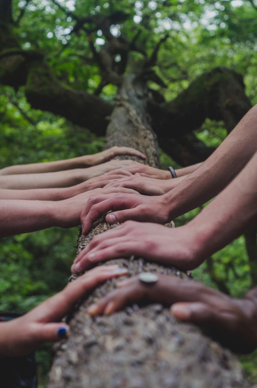 Team hands together